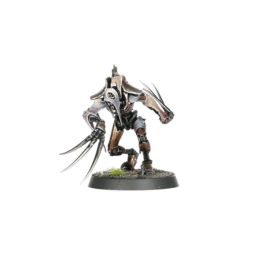Warhammer 40,000: Necron Flayed (One Pack)