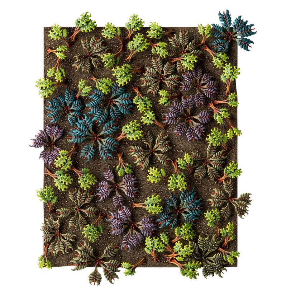 Citadel: Barbed Bracken