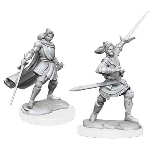 Critical Role Miniatures: Half-Elf Xhorhas Paladin