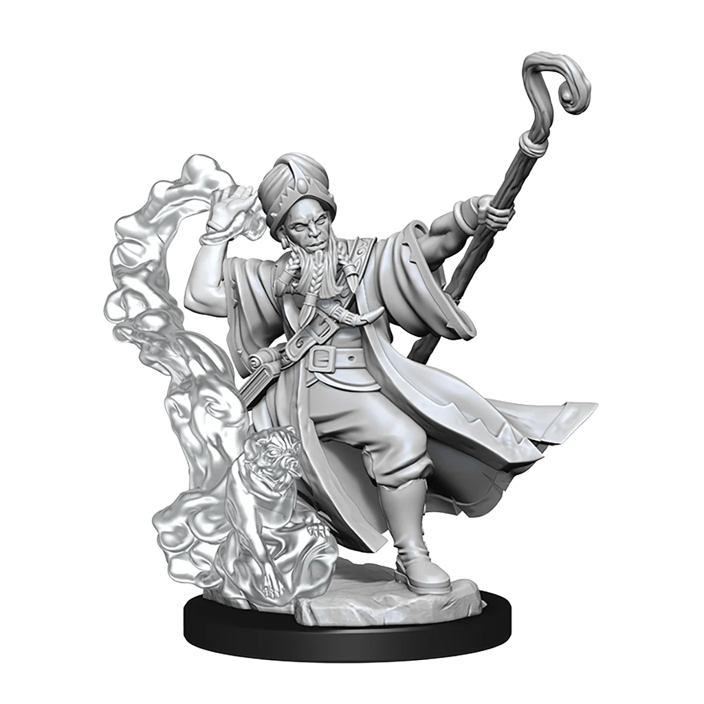 Dungeons & Dragons Miniatures, Frameworks: Human Wizard (Male)