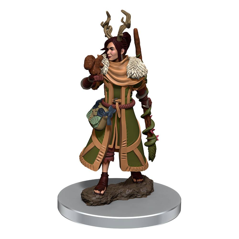 Dungeons & Dragons Miniatures, Pre-Painted: Female Human Druid