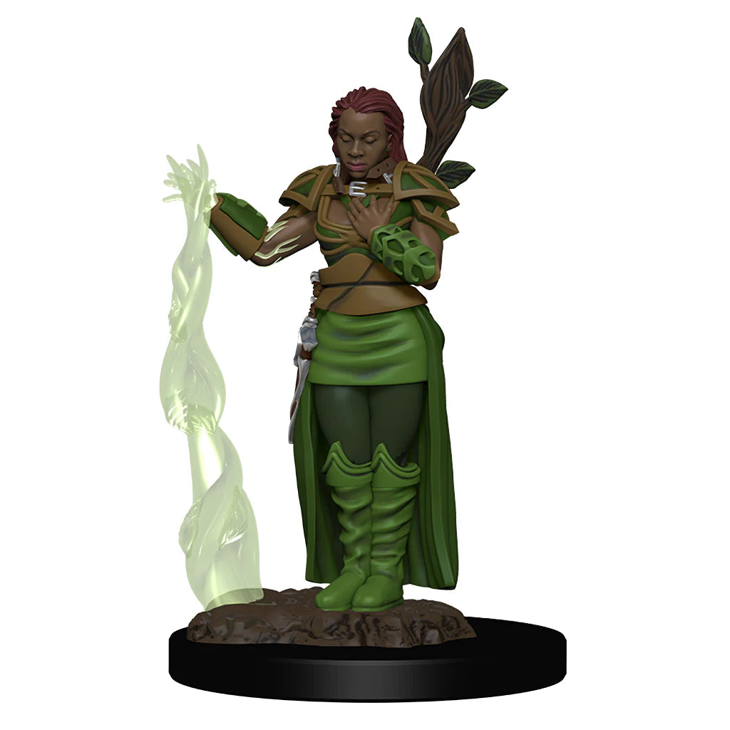 Dungeons & Dragons: Icons of the Realms - Female Human Druid