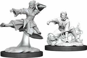 Dungeons & Dragons Miniatures: Male Human Monk