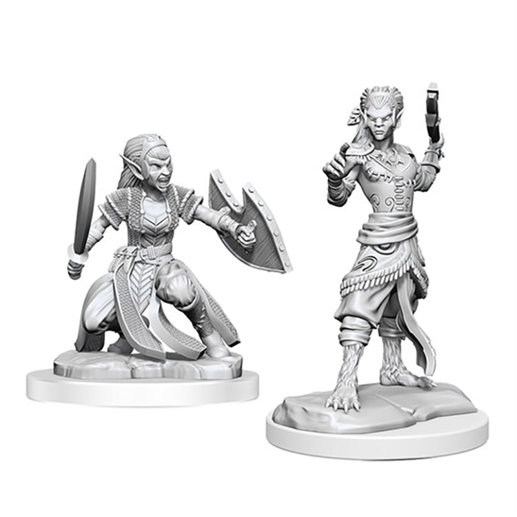 Dungeons & Dragons: Nolzur's Marvelous Miniatures - Shifter Fighter