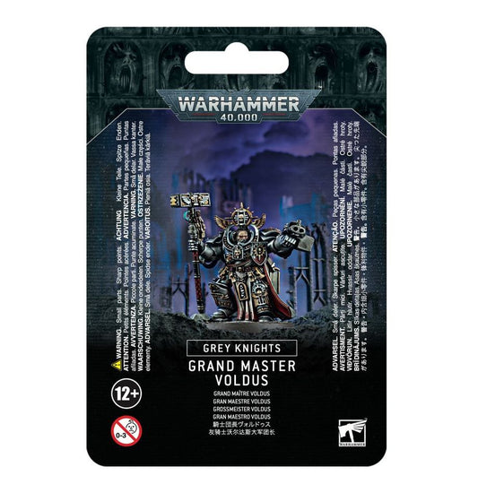 Warhammer 40,000 (10th Edition): Grey Knights - Grand Master Voldus