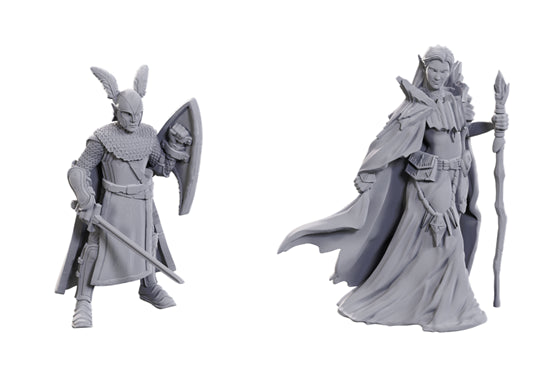 Dungeons & Dragons Miniatures: 50th Anniversary - Elves