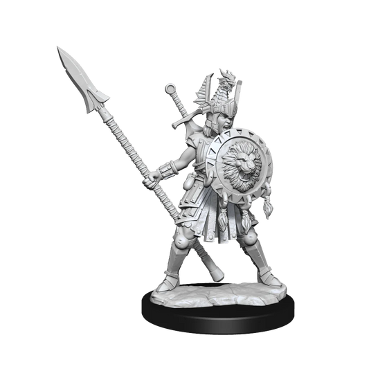 Dungeons & Dragons Miniatures, Frameworks: Human Fighter (Female)