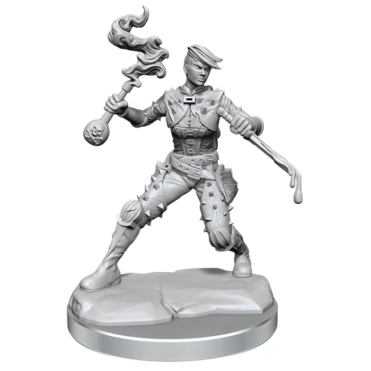 Dungeons & Dragons Miniatures, Frameworks: Human Rogue (Female)