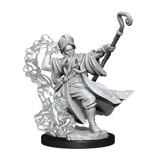 Dungeons & Dragons Miniatures, Frameworks: Human Wizard (Male)