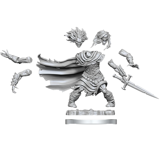 Dungeons & Dragons Miniatures, Frameworks: Wight