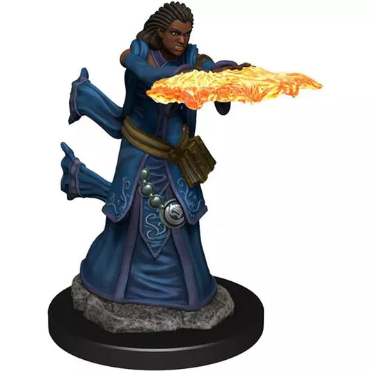 Dungeons & Dragons: Icons of the Realms - Human Wizard Female