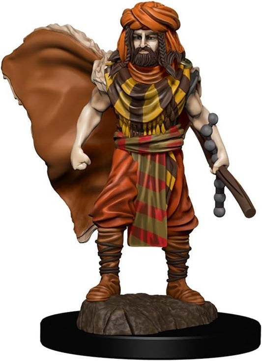 Dungeons & Dragons: Icons of the Realms - Human Druid Male