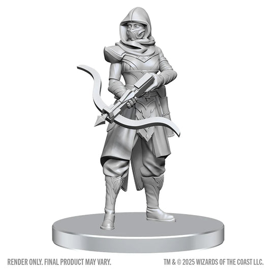 Dungeons & Dragons: Nolzur's Marvelous Miniatures - Assassin & Berserker