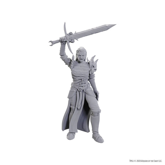 Dungeons & Dragons Miniatures: Blackguard