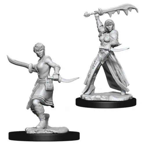 Dungeons & Dragons Miniatures: Female Human Rogue