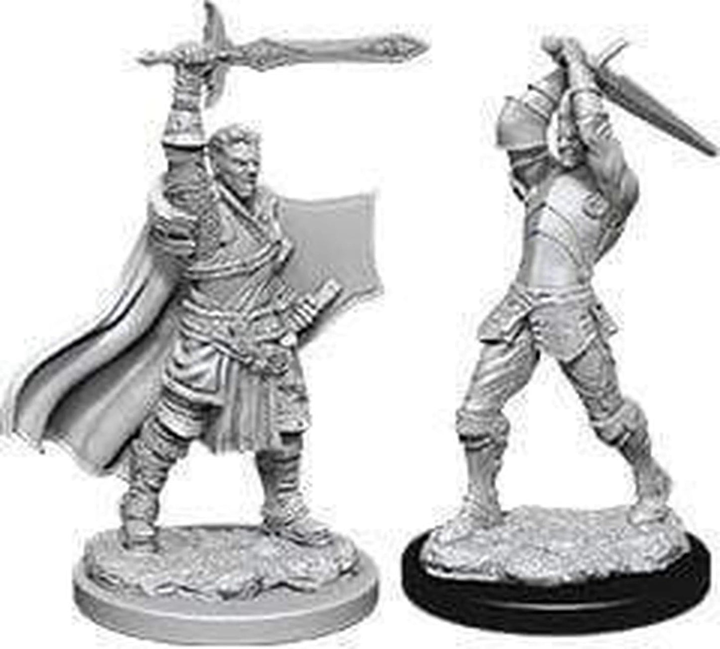 Dungeons & Dragons: Nolzur's Marvelous Miniatures - Human Paladin (Male)