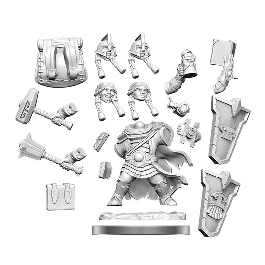 Dungeons & Dragons Miniatures, Frameworks: Dwarf Cleric