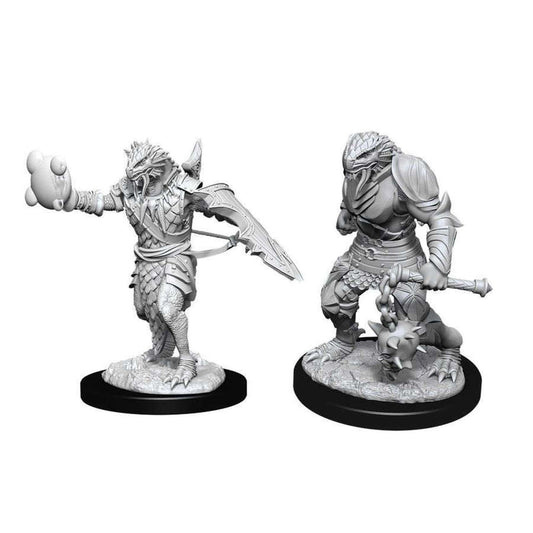 Dungeons & Dragons Miniatures: Dragonborn Paladin (2020 - Alternate)