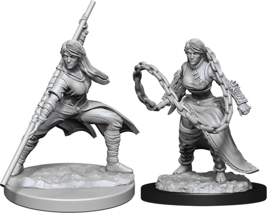 Dungeons & Dragons Miniatures: Female Human Monk (2020)