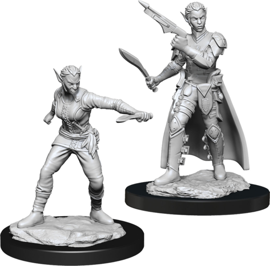 Dungeons & Dragons Miniatures: Shifter Rogue (2020)