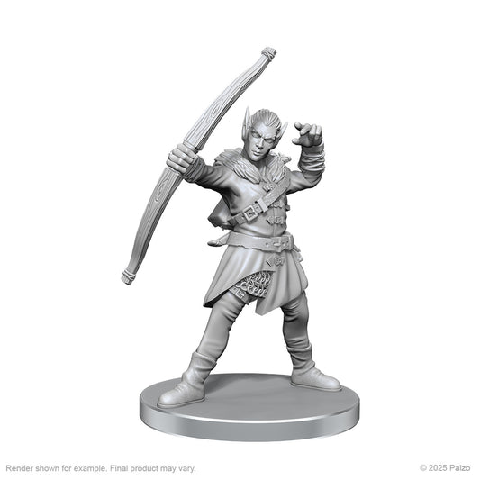 Pathfinder Battles Miniatures: Elf Hunter & Catfolk Bandit