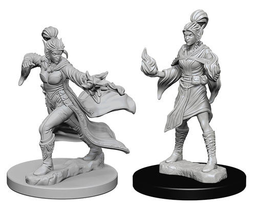 Pathfinder Deep Cuts Miniatures: Female Elf Sorcerer