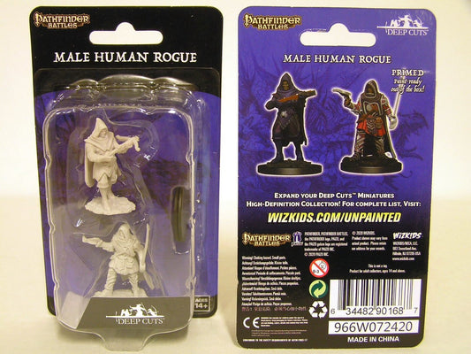 Pathfinder Deep Cuts Miniatures: Male Human Rogue