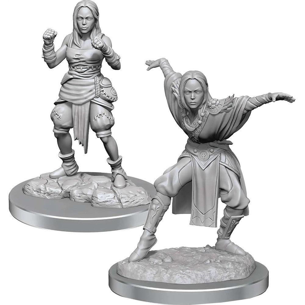 Pathfinder Battles Miniatures: Half-Elf Monk Female