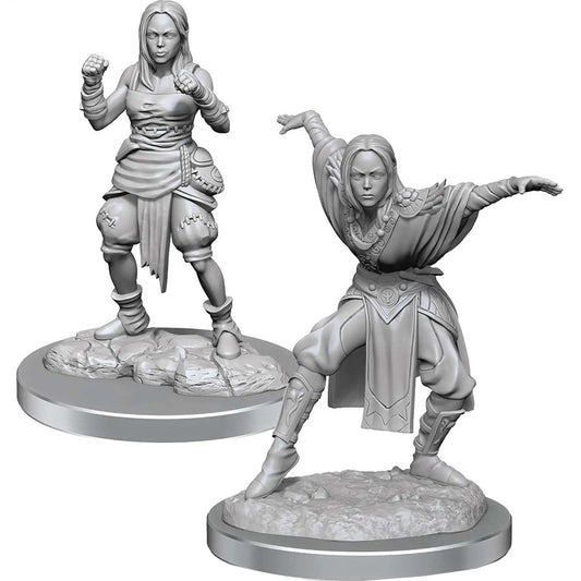 Pathfinder Battles Miniatures: Half-Elf Monk Female