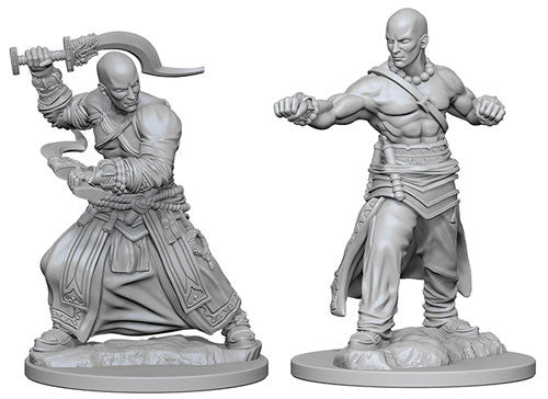 Pathfinder Battles Miniatures: Male Human Monk