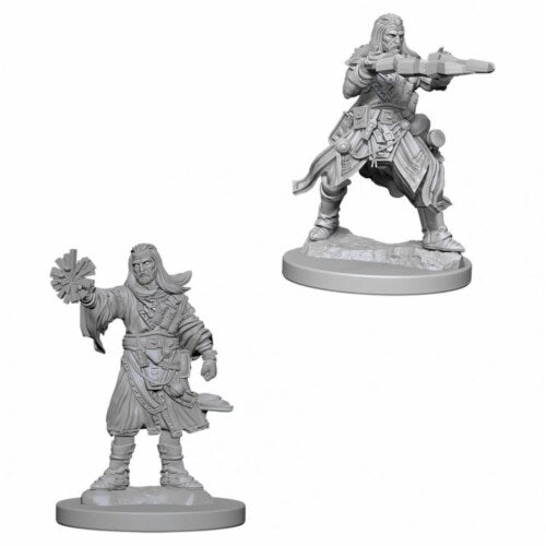 Pathfinder Battles Miniatures: Male Human Wizard