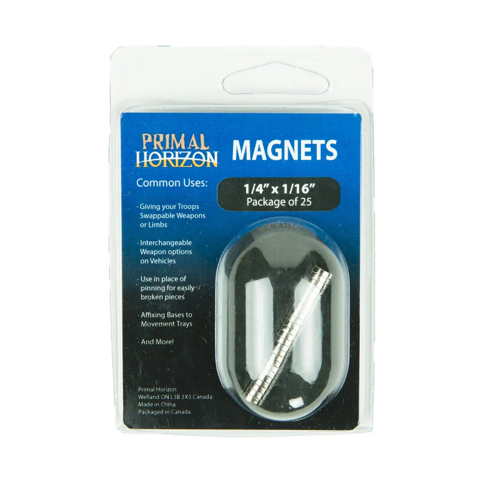 1/4 x 1/16 Magnets